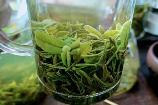 什么綠茶味道濃香，那個綠茶比較濃香？