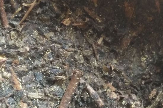 黑茶茯茶保存五大忌，茯茶收藏的注意事項
