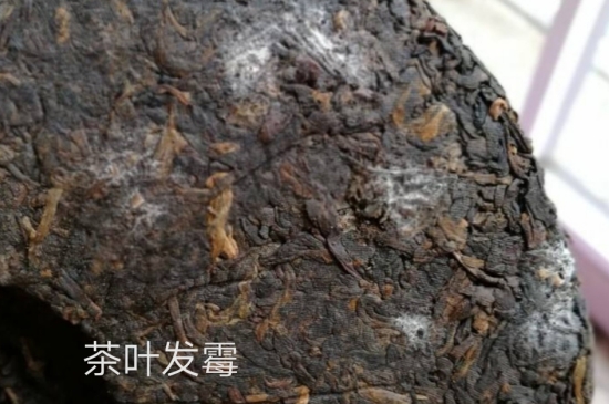 西湖龍井茶毫和發(fā)霉區(qū)別圖片，長(zhǎng)霉的龍井茶葉會(huì)是什么樣？